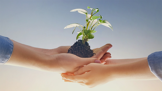 Z6��������ʱ��(�й���)�ٷ���վ